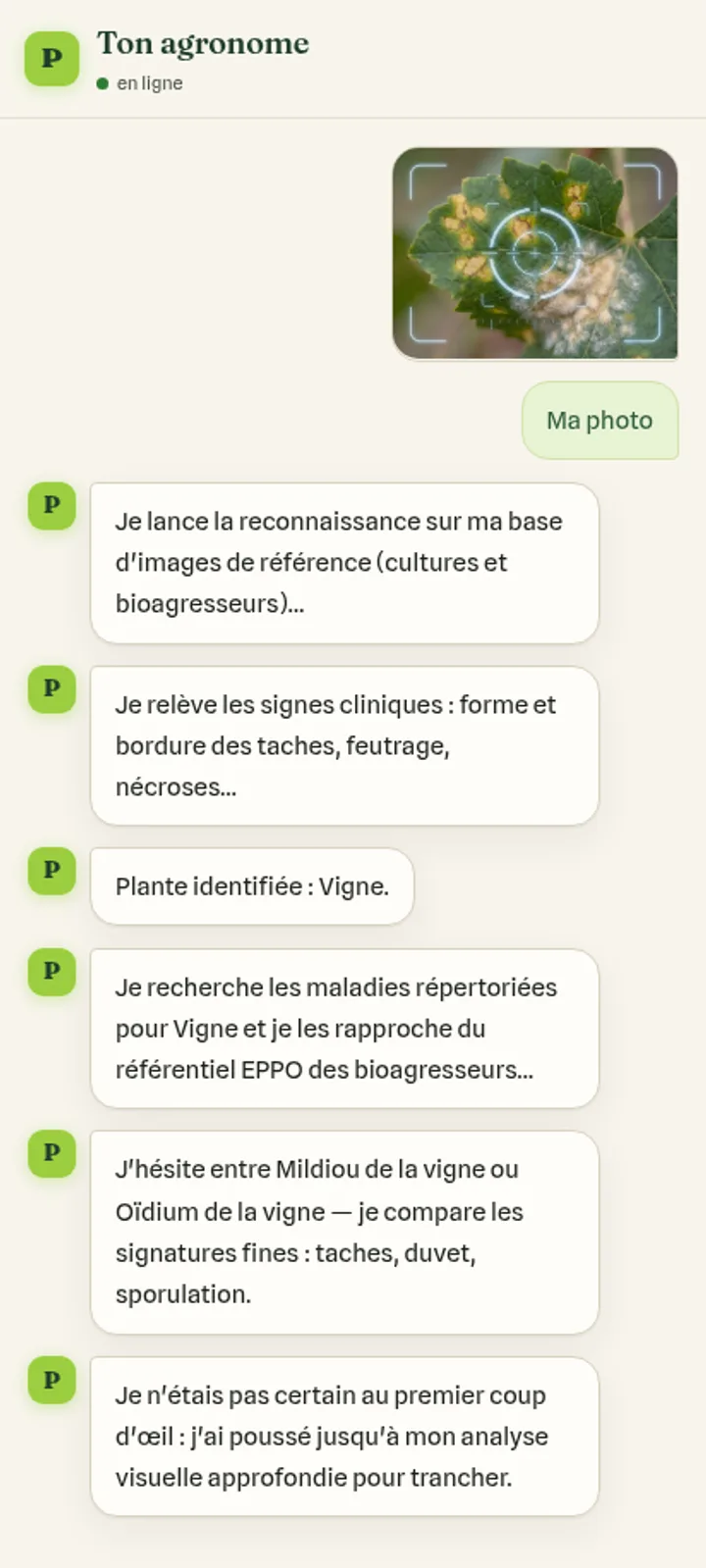 Écran de l'application Phytia : la photo de la plante dans la discussion, l'agronome IA qui analyse à voix haute et reconnaît la culture.